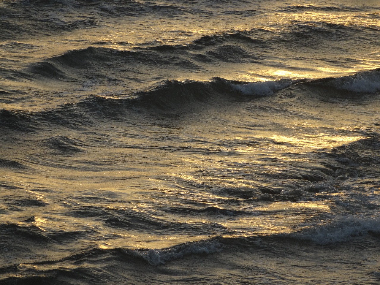 wave sea sunset free photo