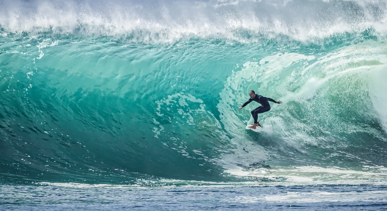 wave surfer sport free photo