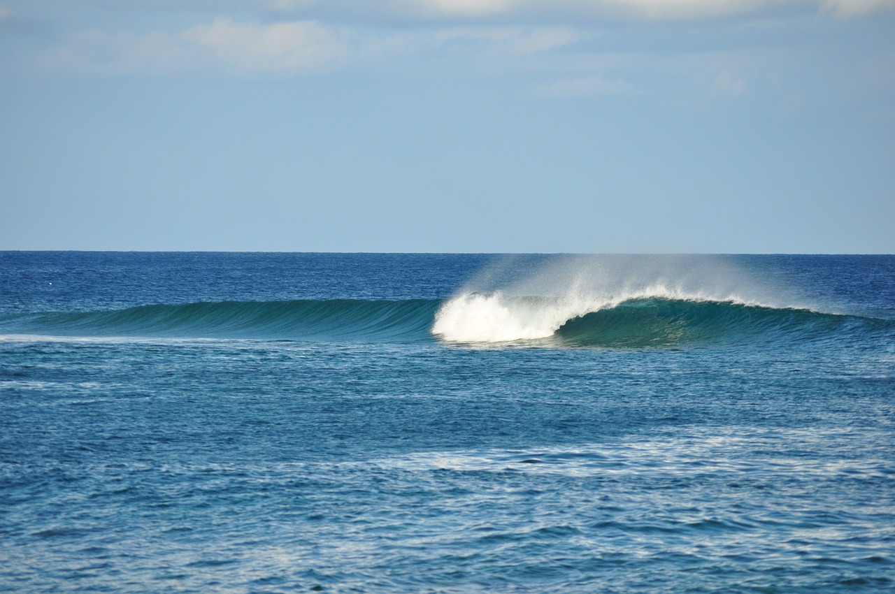 wave surf beach free photo