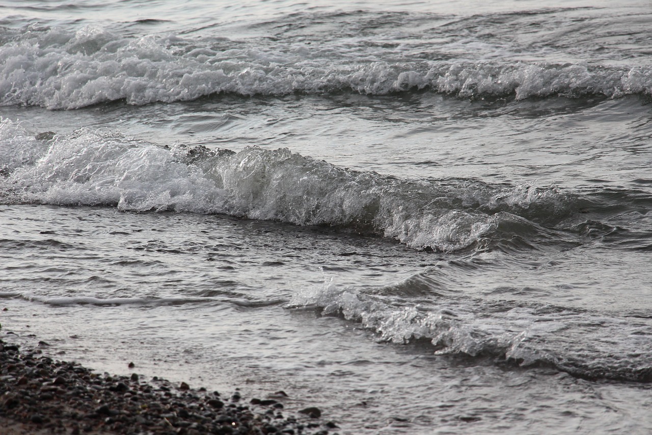 wave beach water free photo