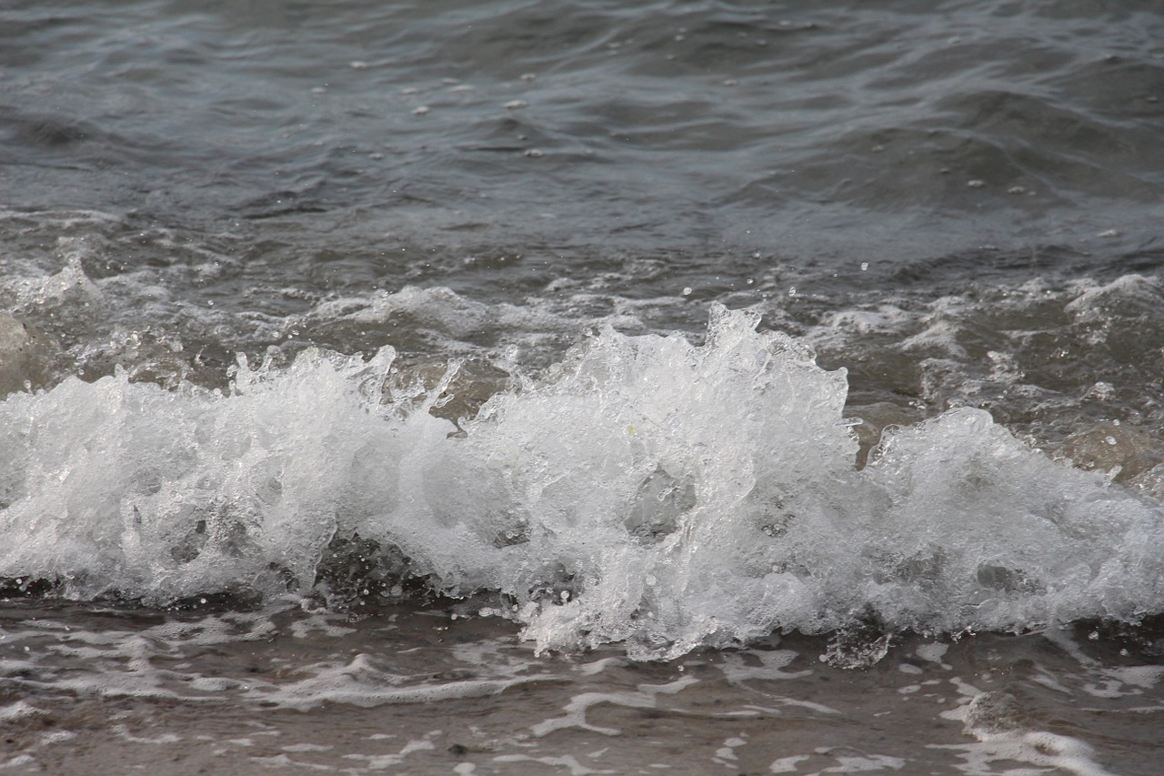 wave beach water free photo