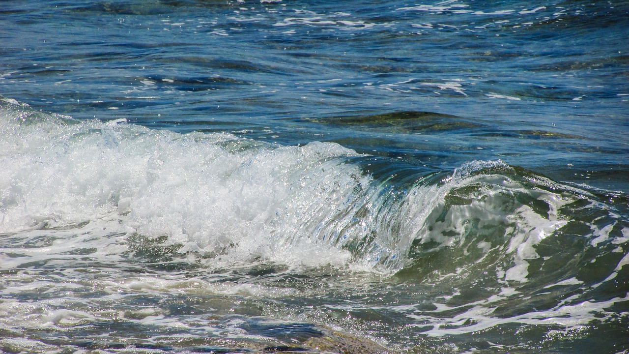 wave sea beach free photo