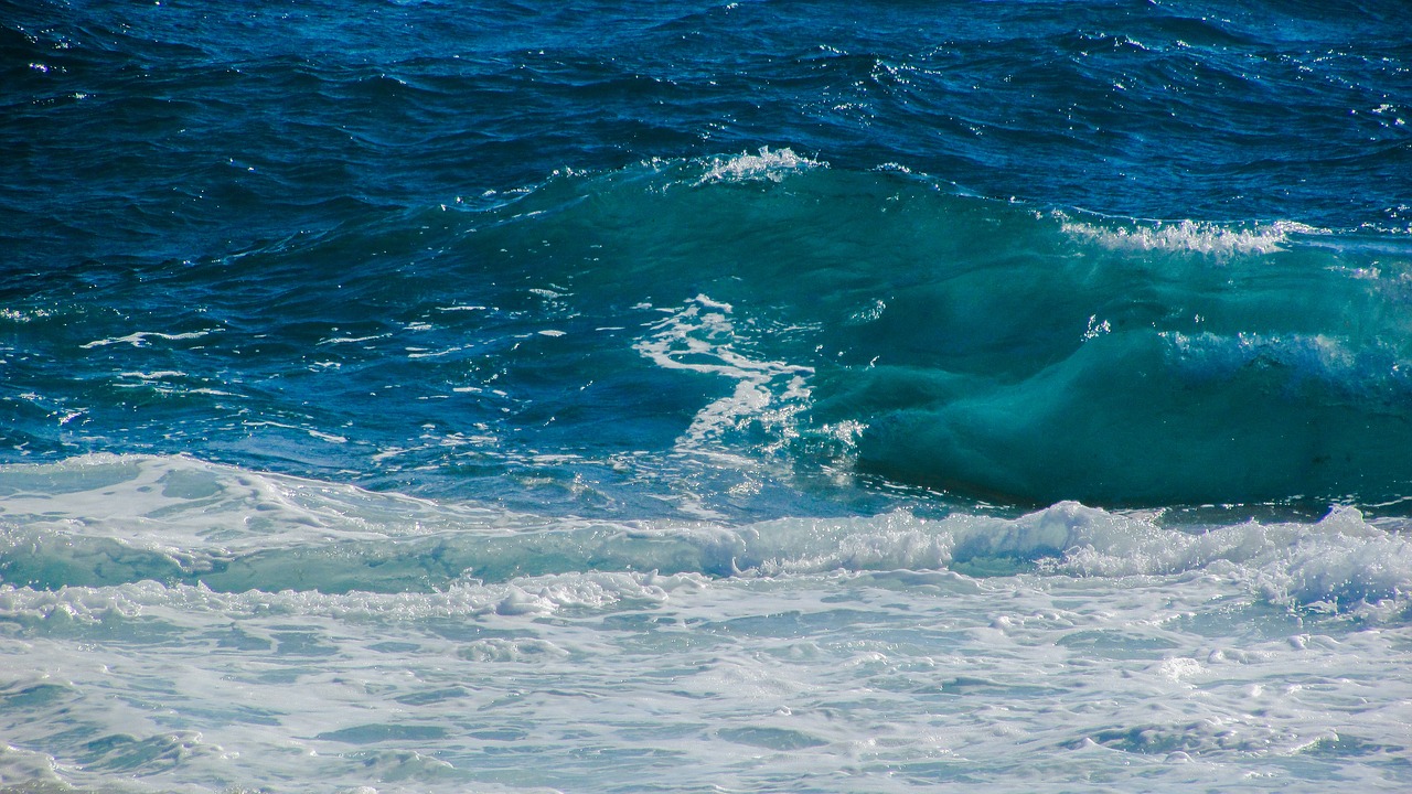 wave sea water free photo