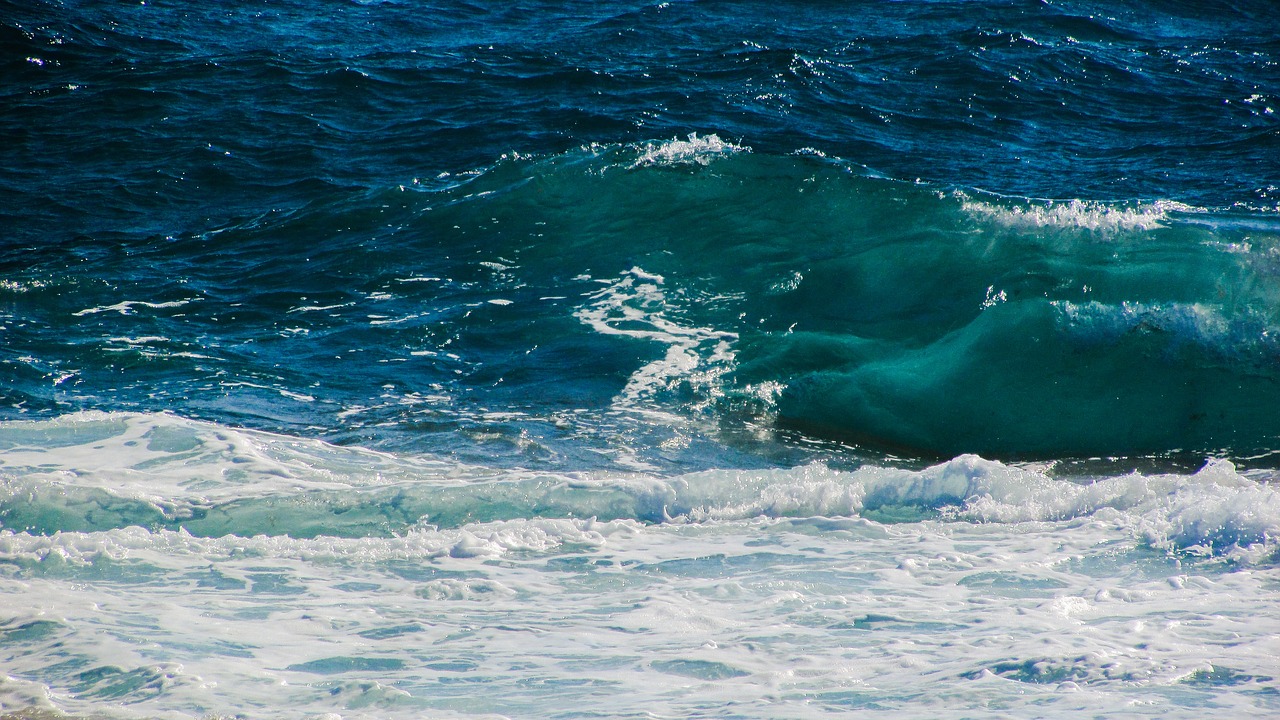 wave sea shore free photo