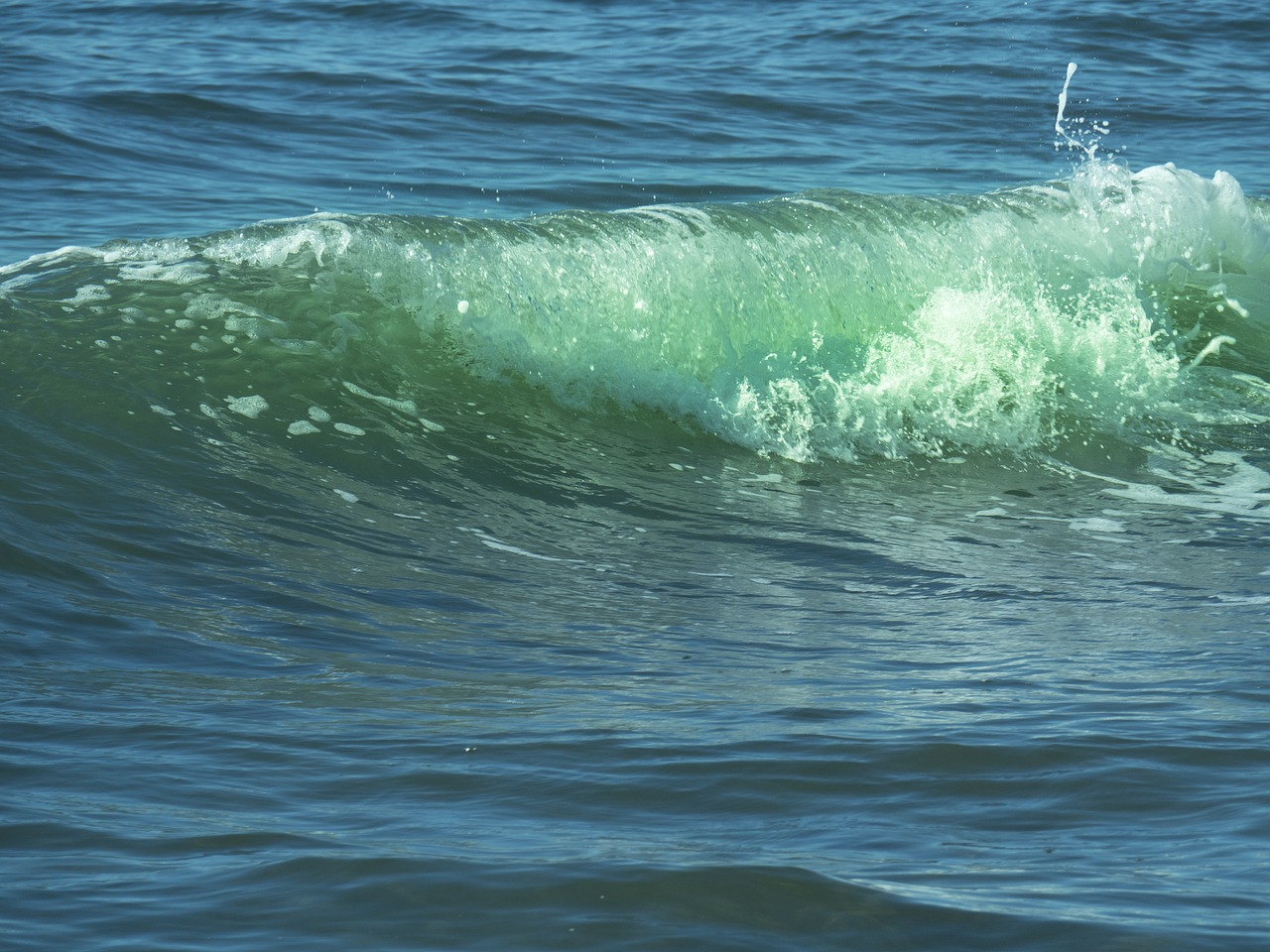 wave green sea free photo