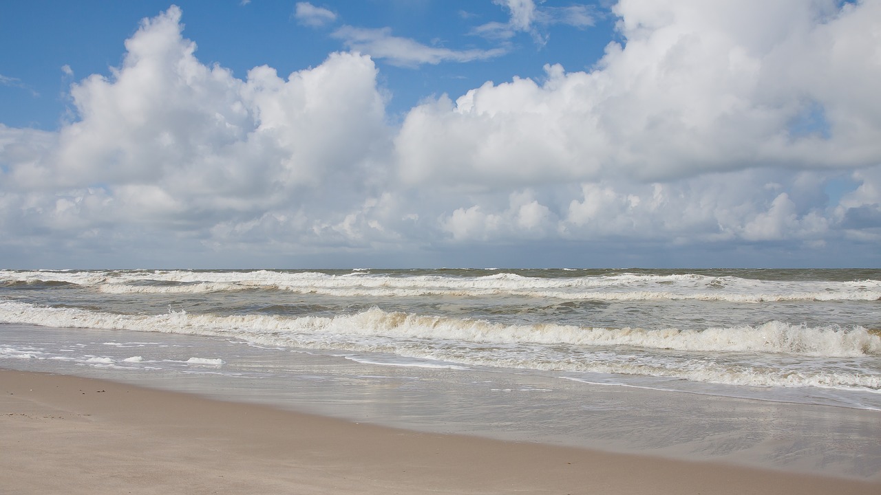 wave beach sand free photo