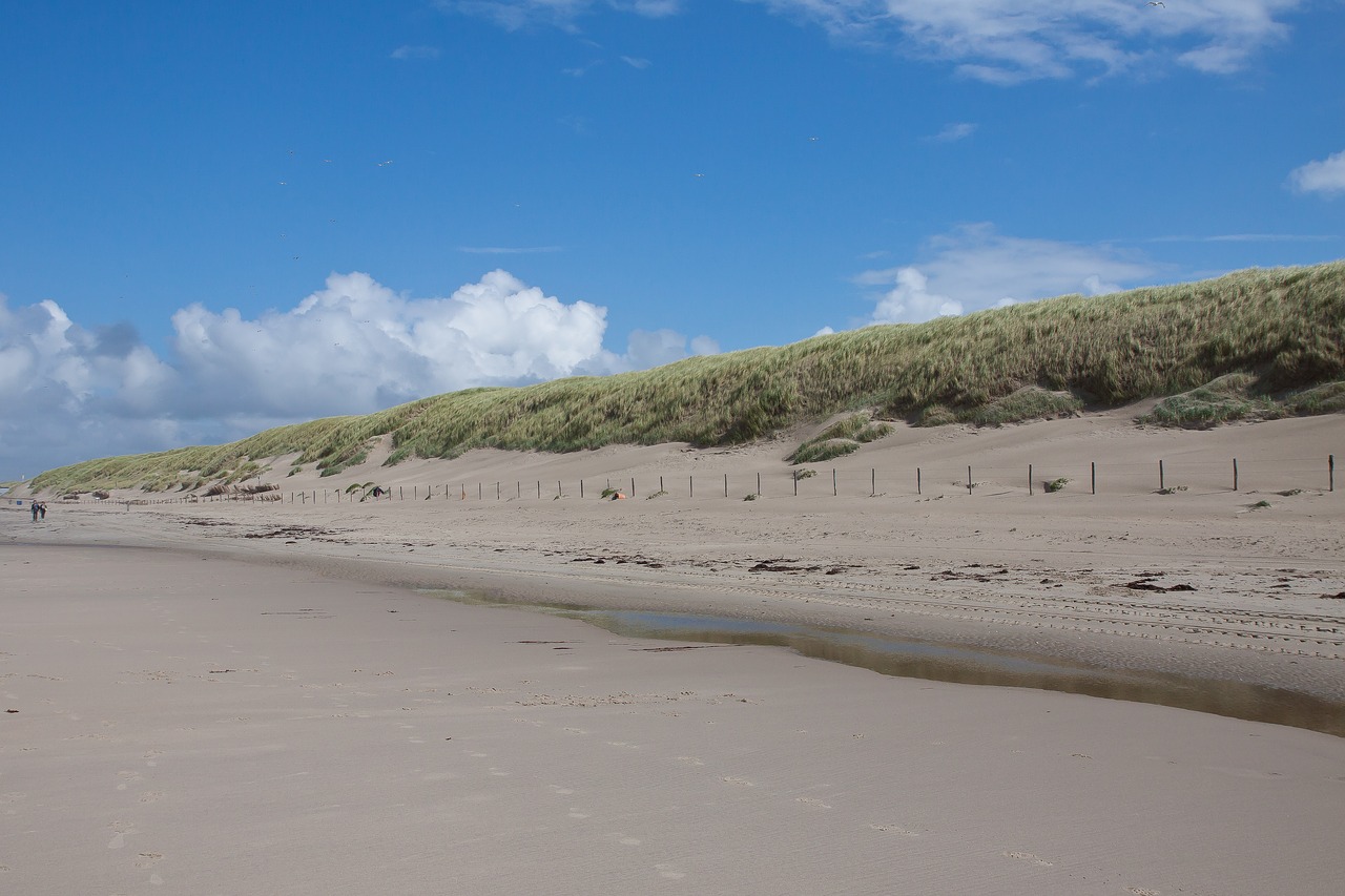 wave beach sand free photo