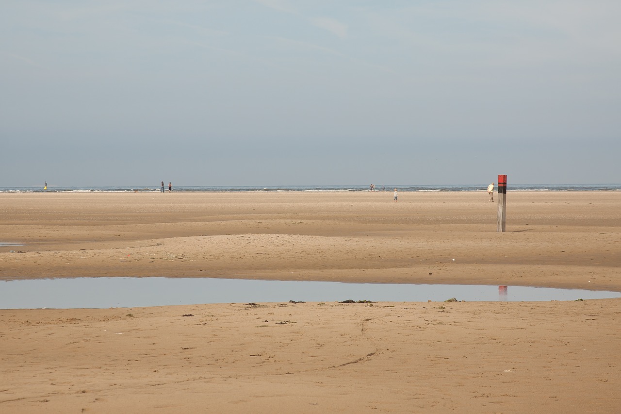 wave beach sand free photo