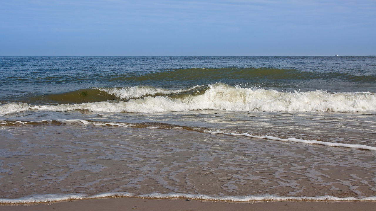 wave beach water free photo