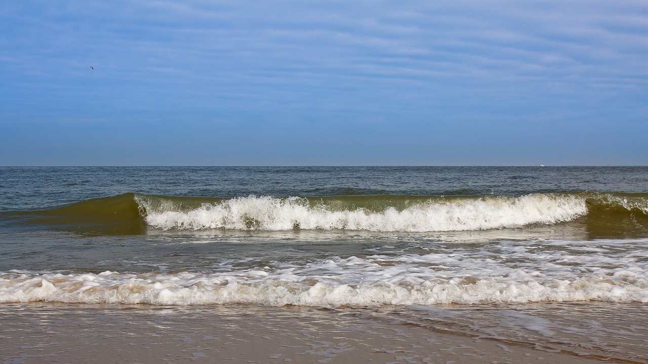 wave beach water free photo