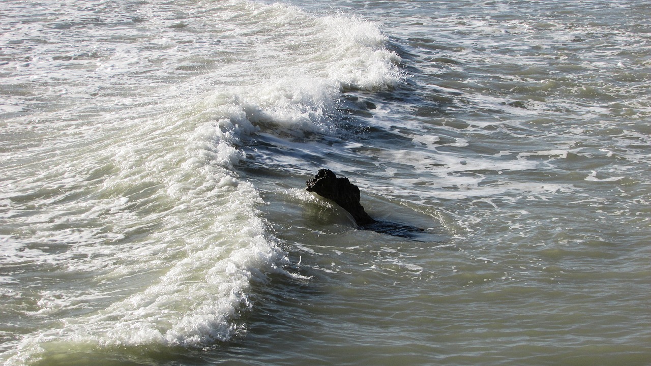 wave rock sea free photo