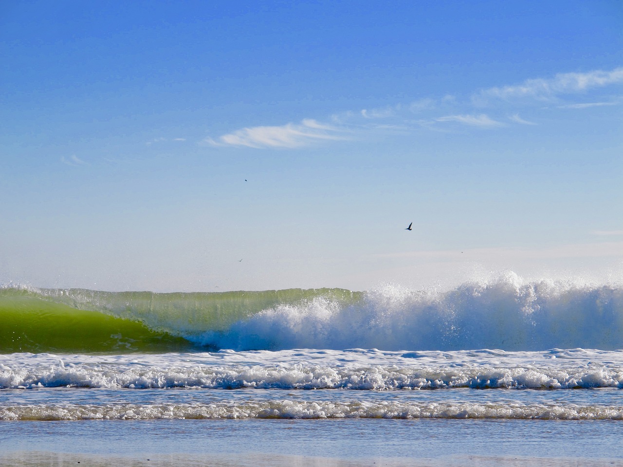 wave foam sea free photo