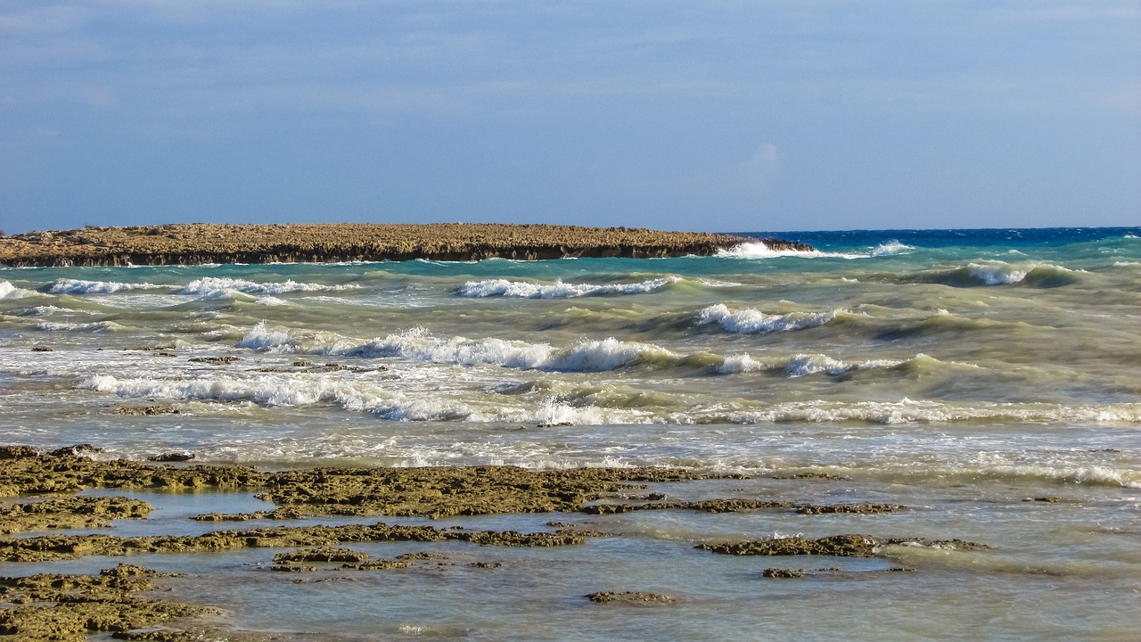 wave coast sea free photo