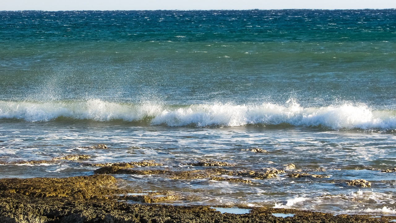 wave beach coast free photo