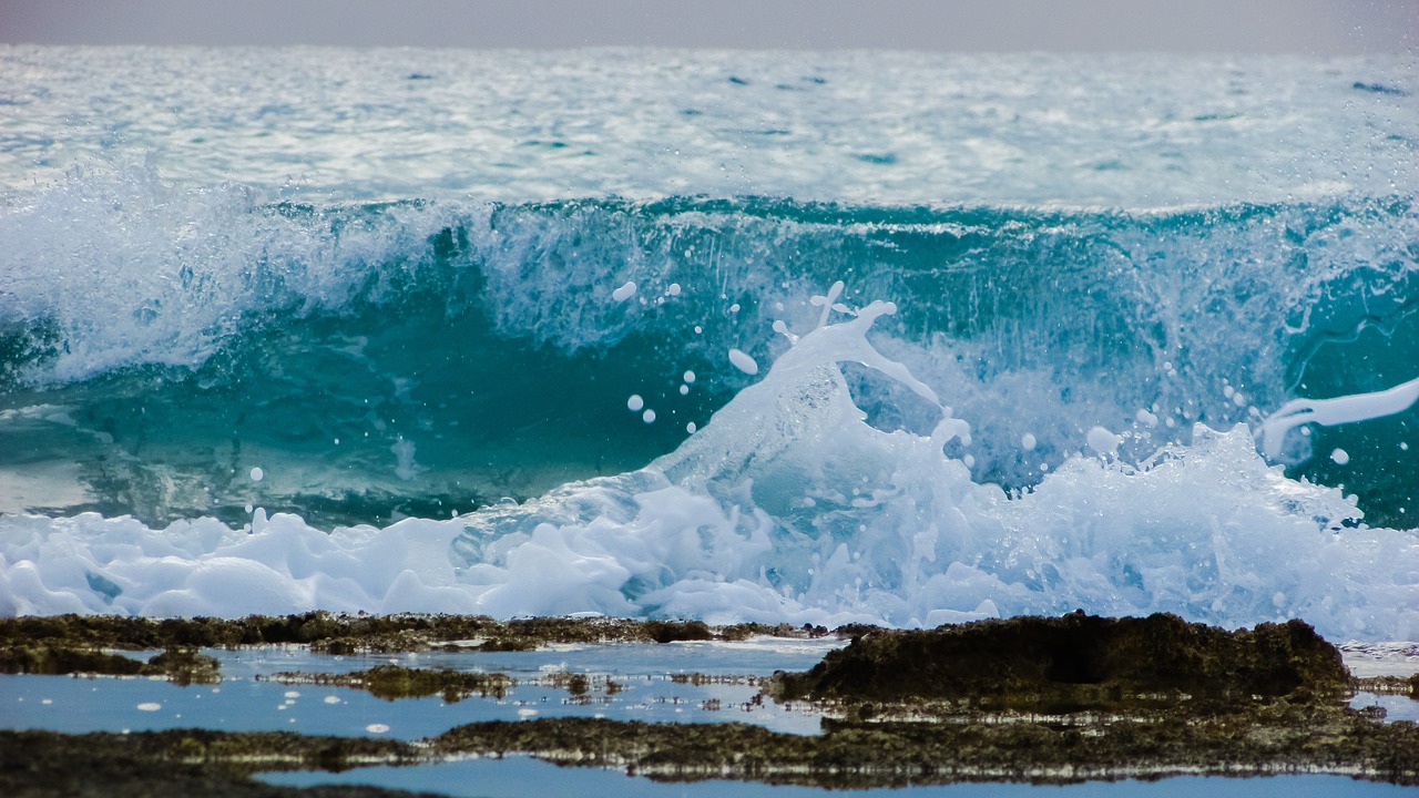 wave smashing foam free photo