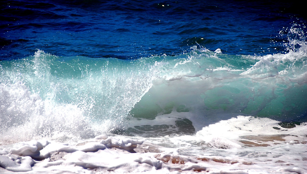 wave sea ocean free photo