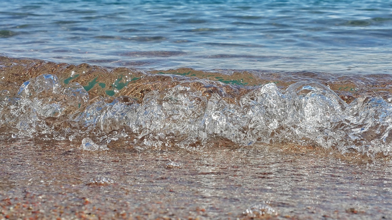 wave beach sea free photo