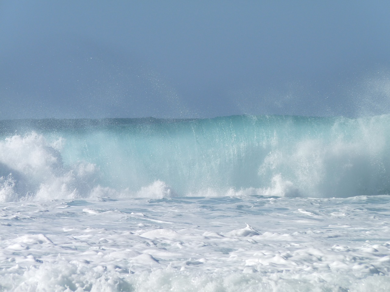 wave spray surf free photo