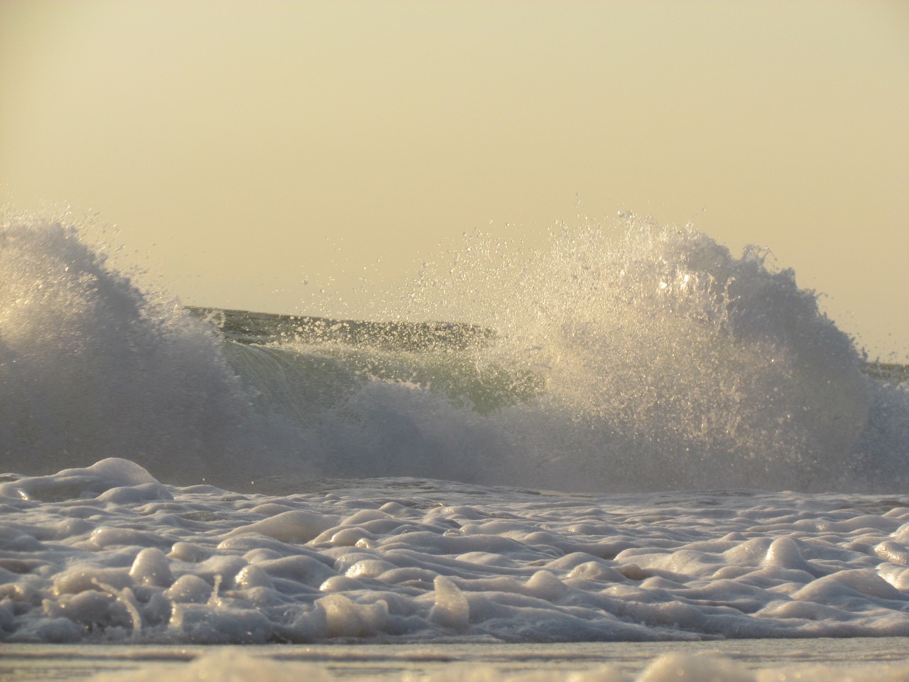 wave ocean sea free photo