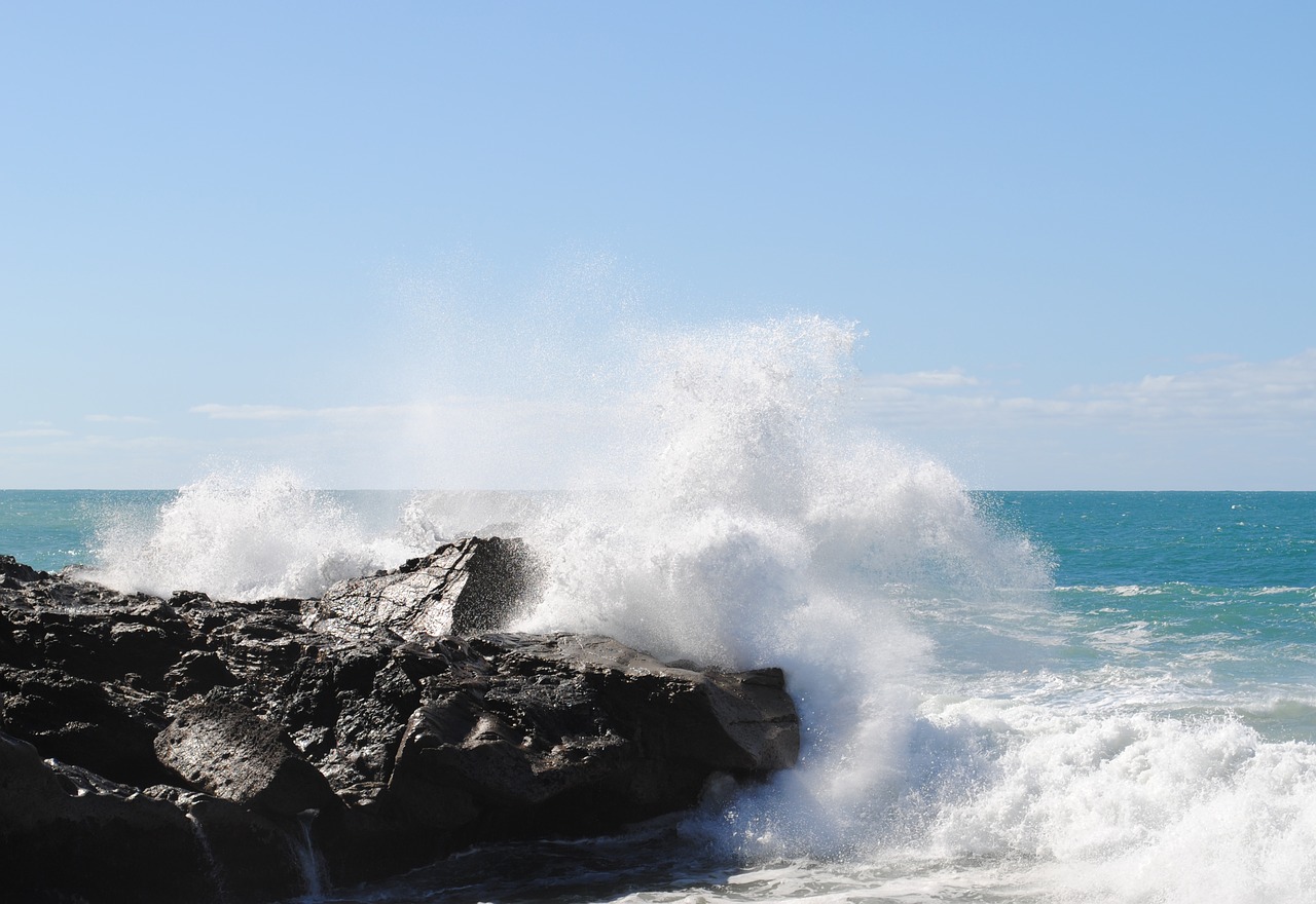 wave fuerteventura coast free photo