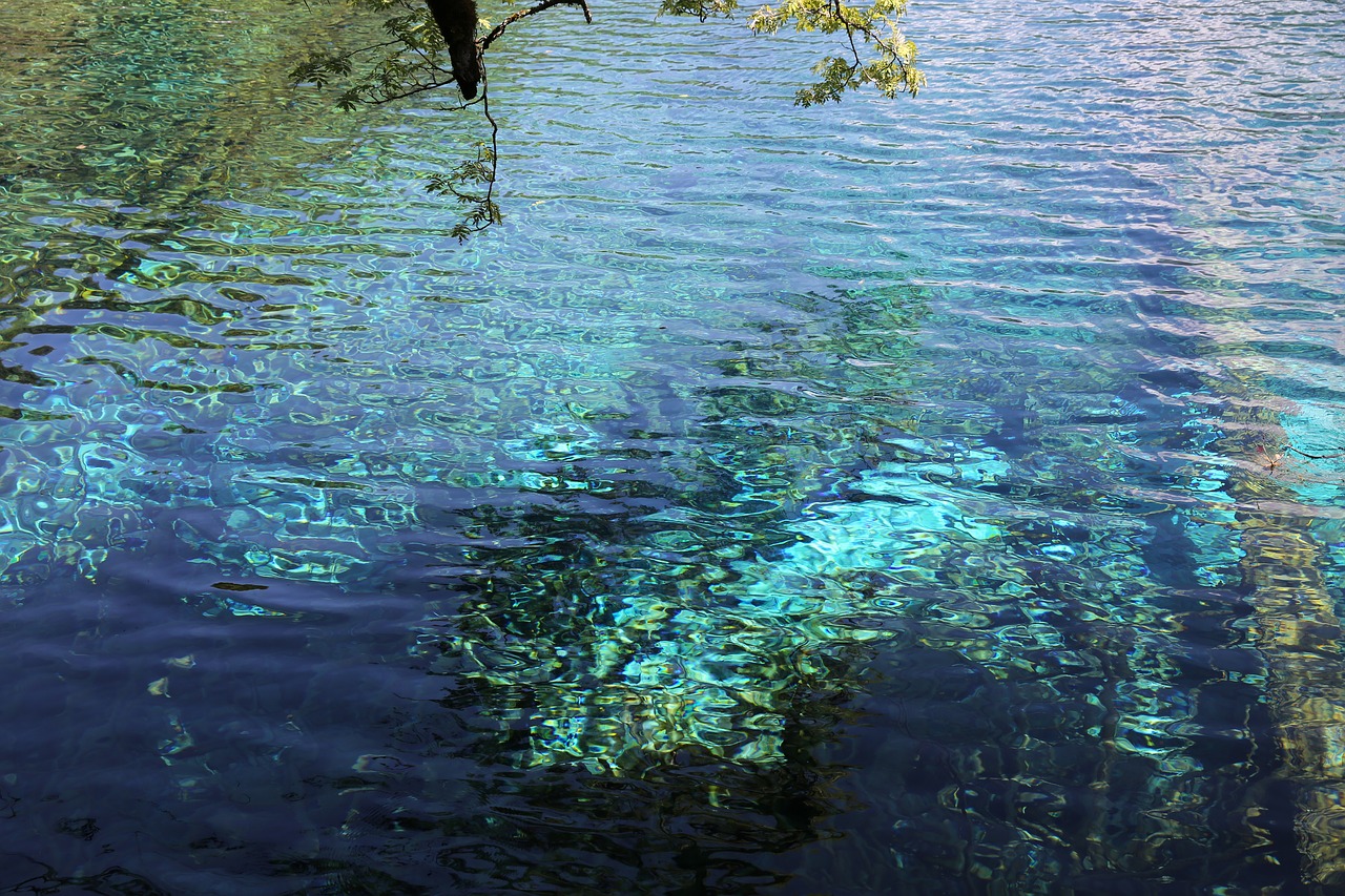 wave crystal clear wood free photo