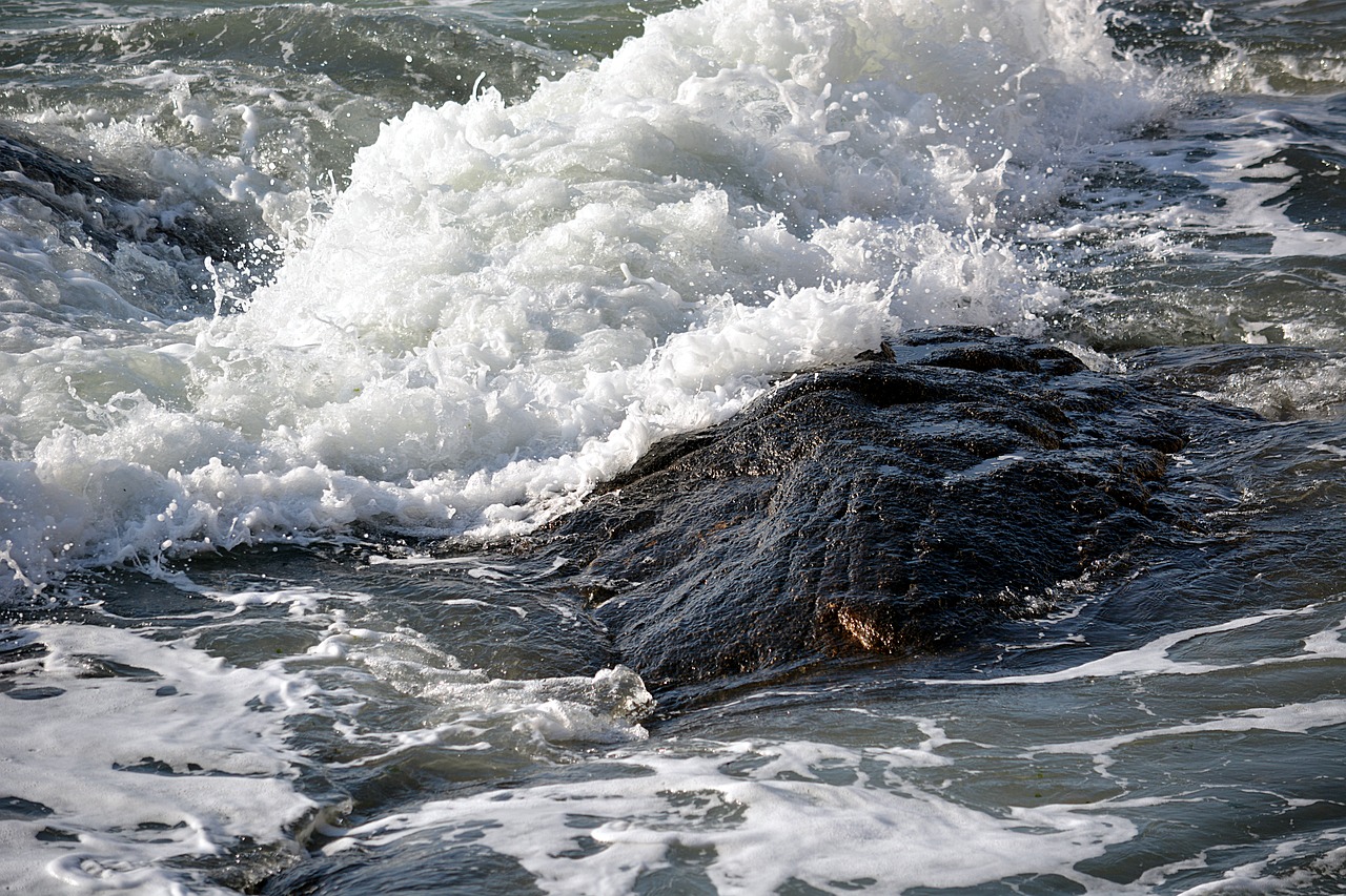 wave sea ocean free photo