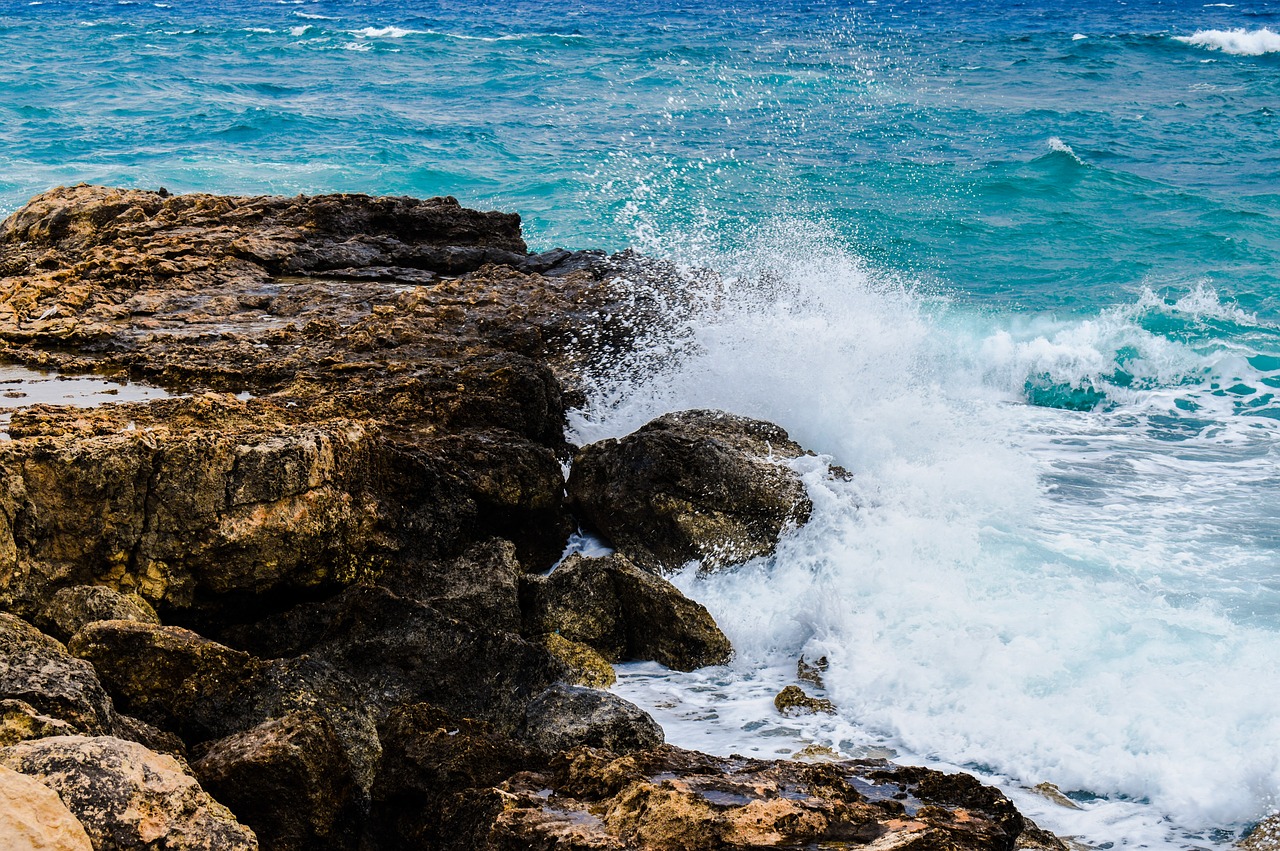 wave coast sea free photo