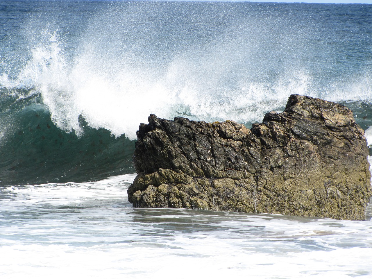 wave sea spray free photo