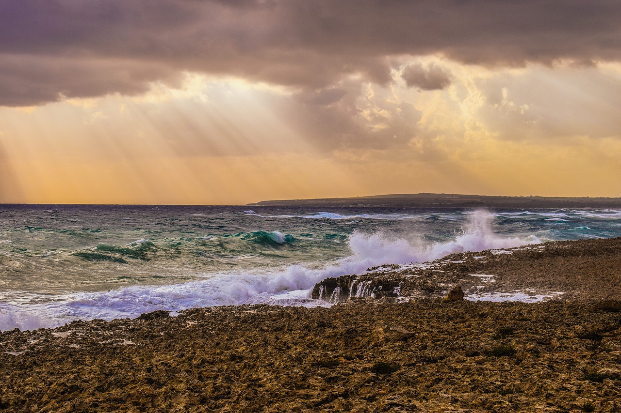 wave sea coast free photo