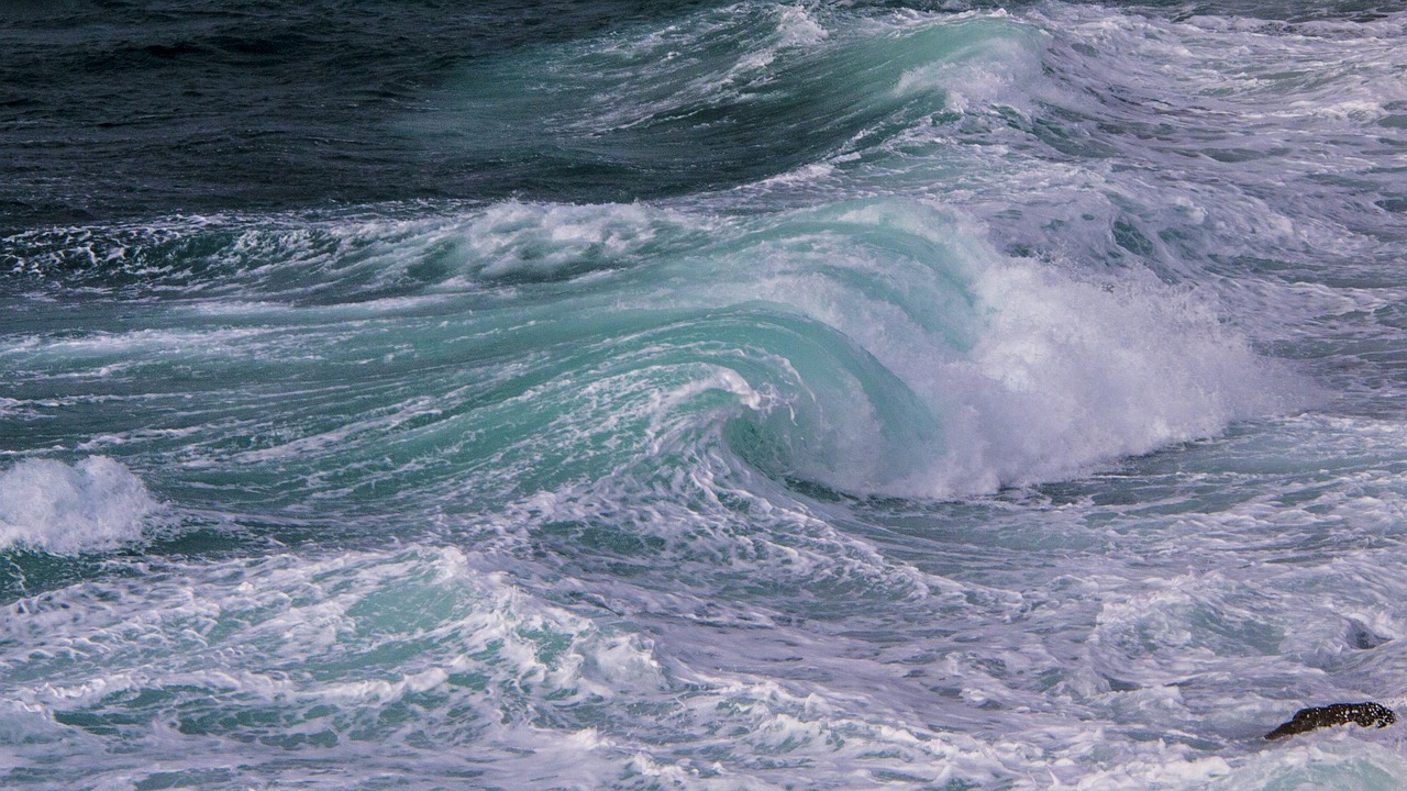 wave sea foam free photo