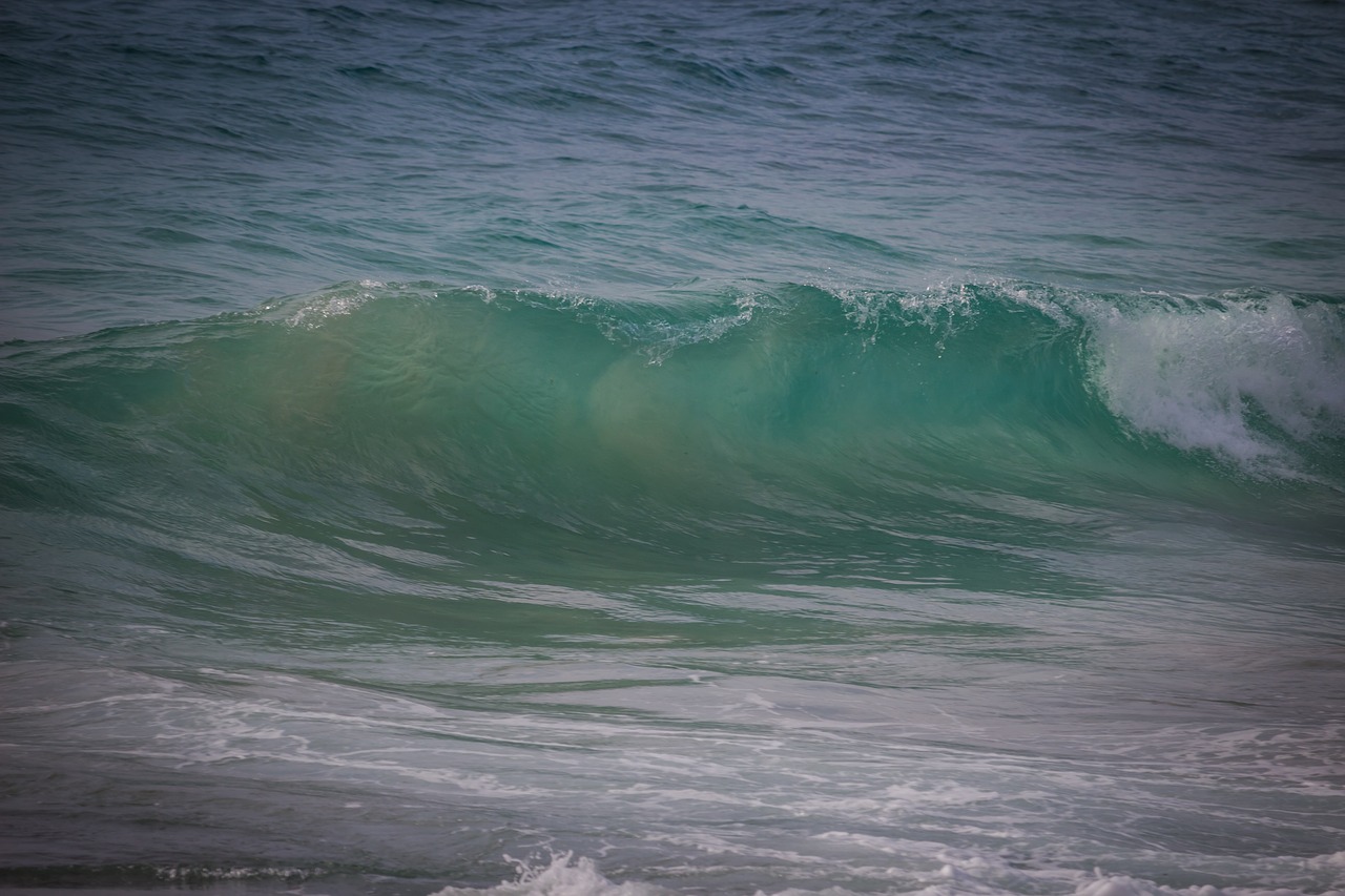 wave sea coast free photo