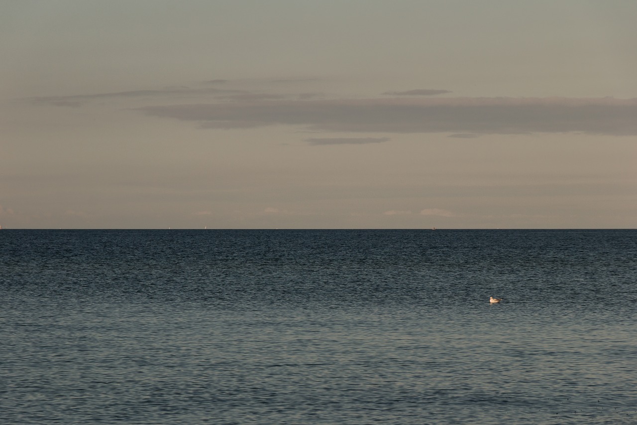 wave baltic sea sea free photo