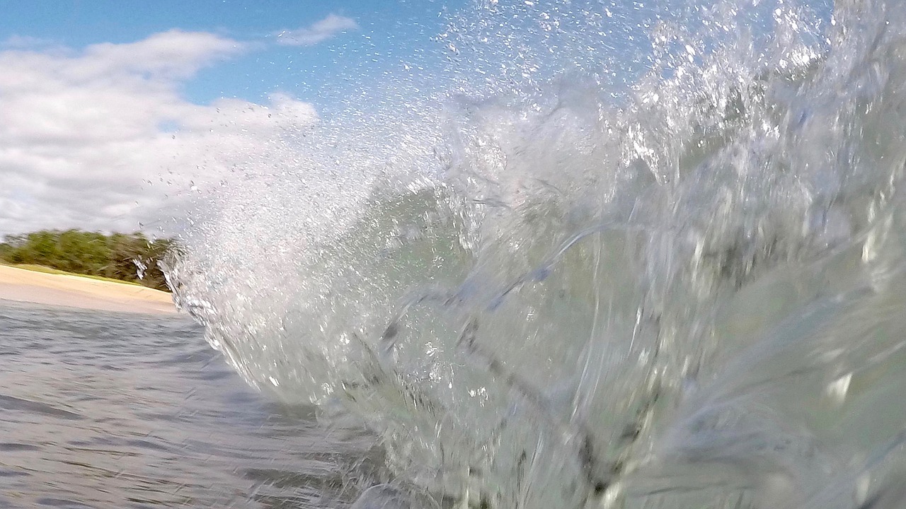 wave maui beach free photo