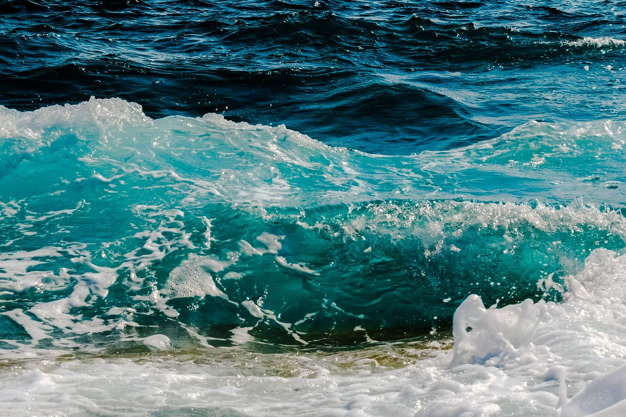 wave crushing sea free photo