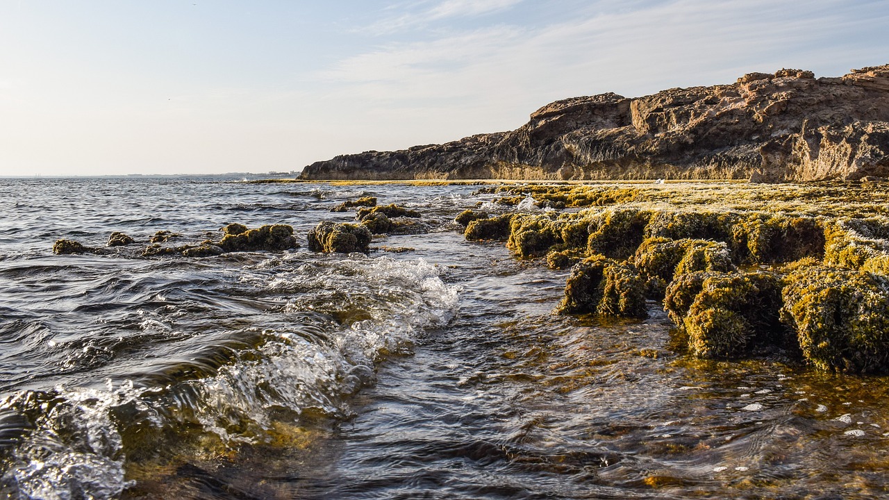 wave rocky coast nature free photo