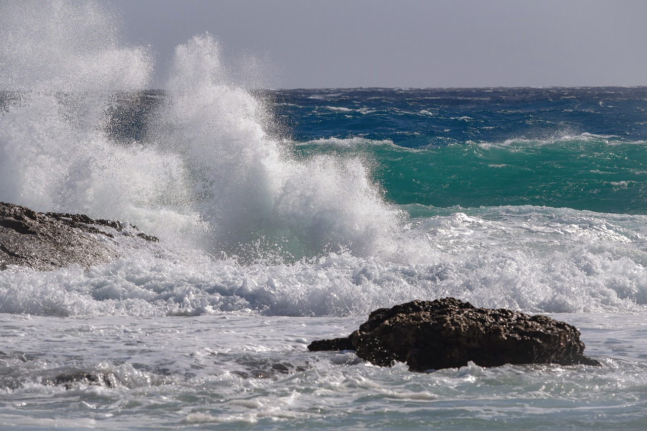 wave crashing surf free photo