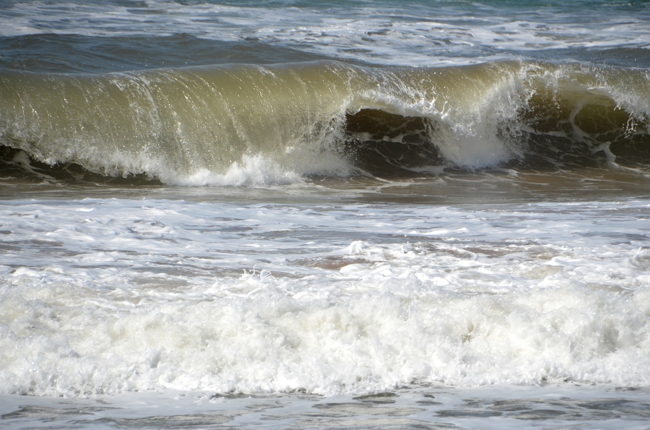 wave surf sea free photo