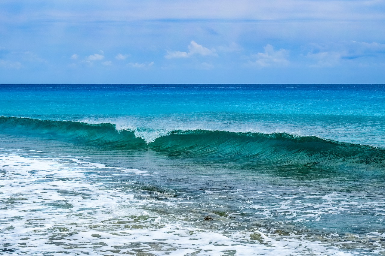 wave  seascape  surf free photo