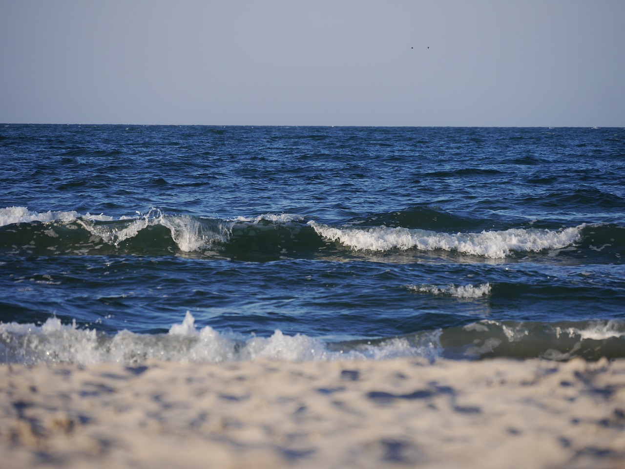 wave water beach free photo