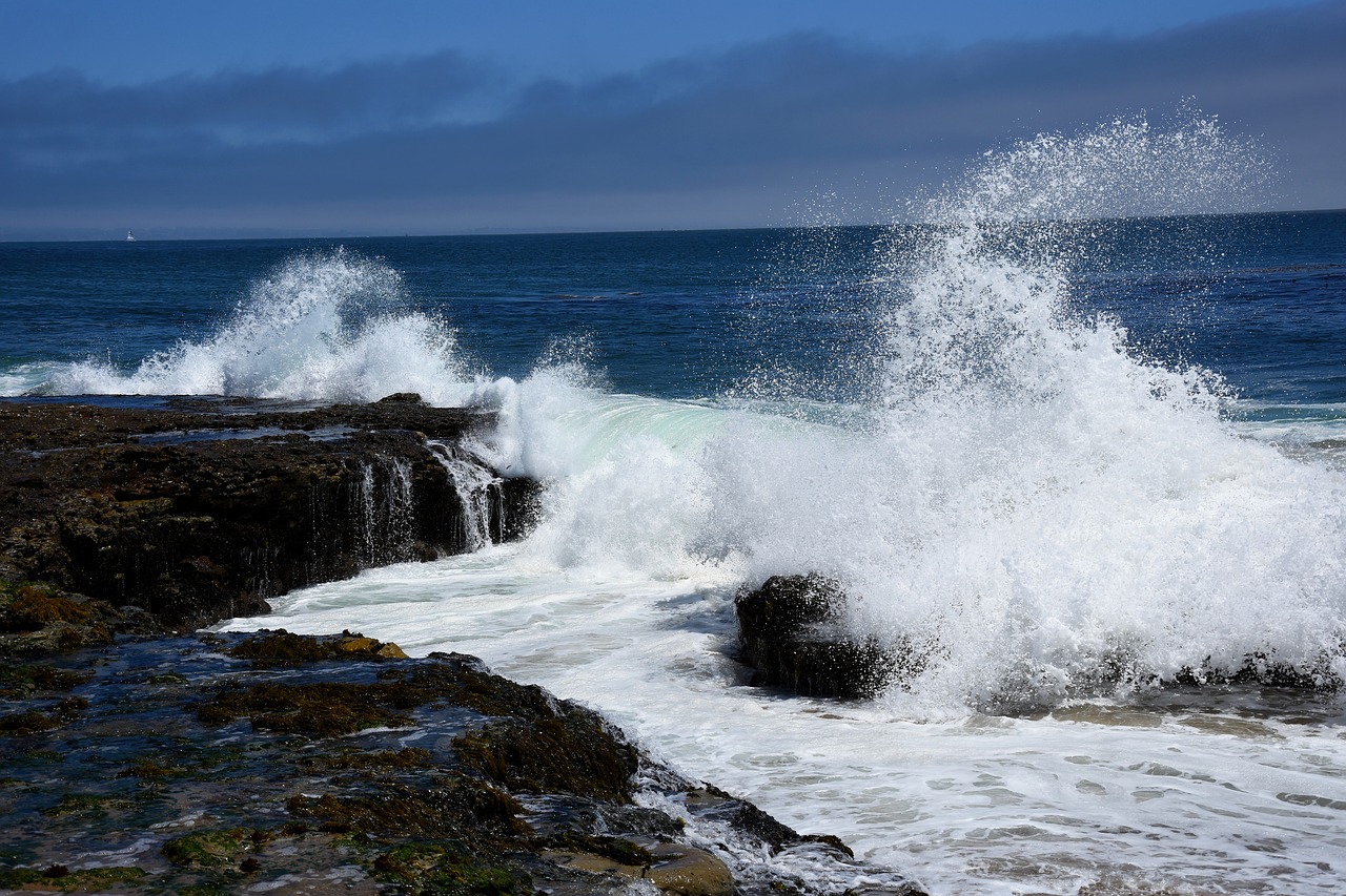 wave  sea  ocean free photo