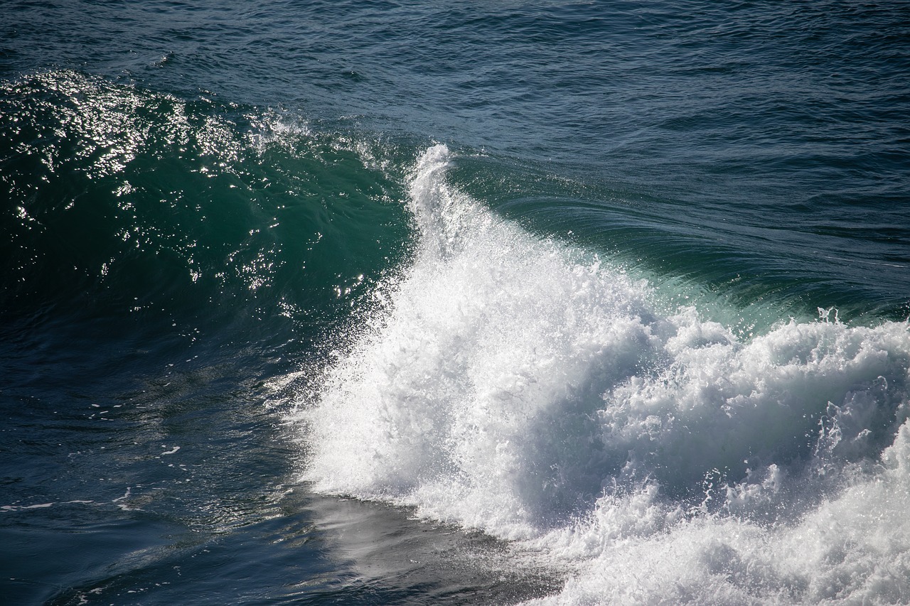 wave  breaking  water free photo