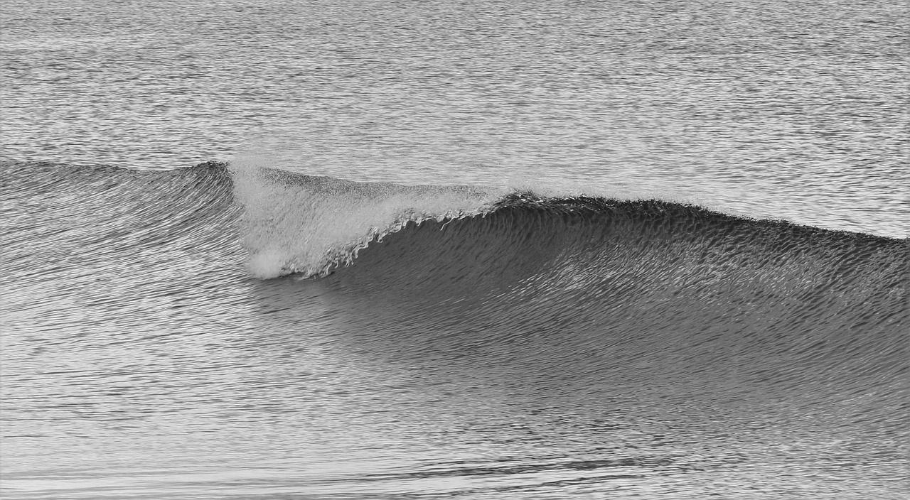 wave  black  white free photo