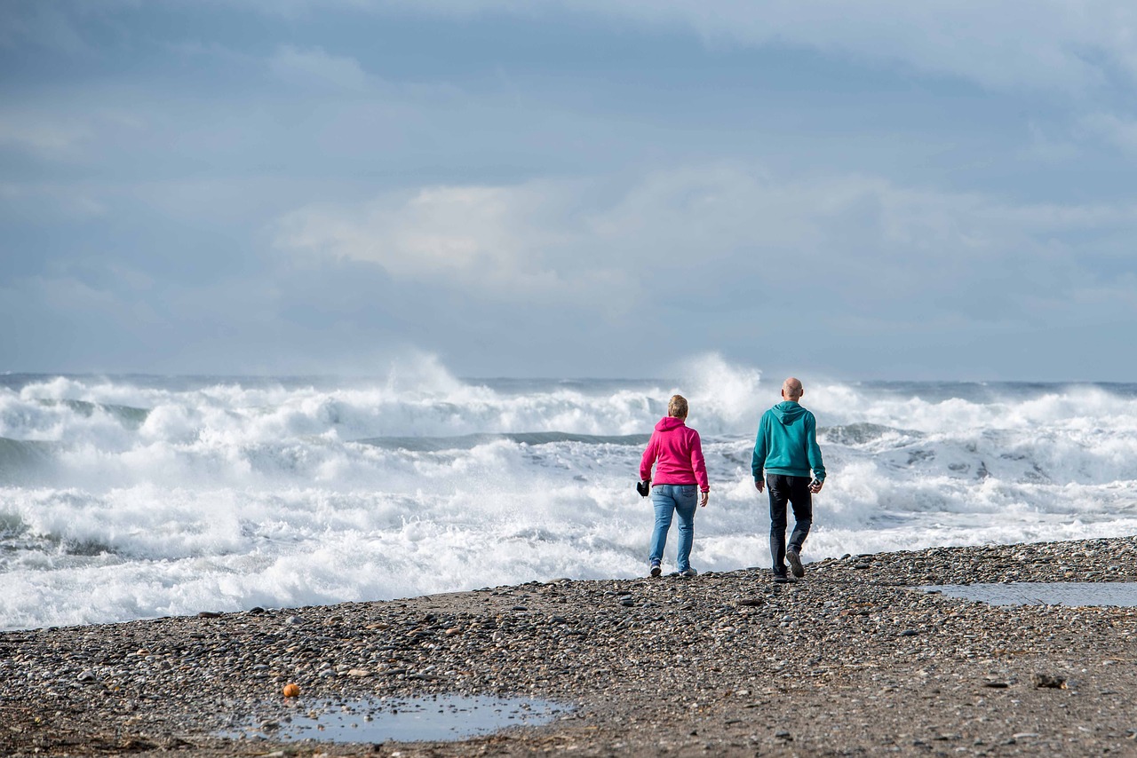 wave  sea  beach free photo