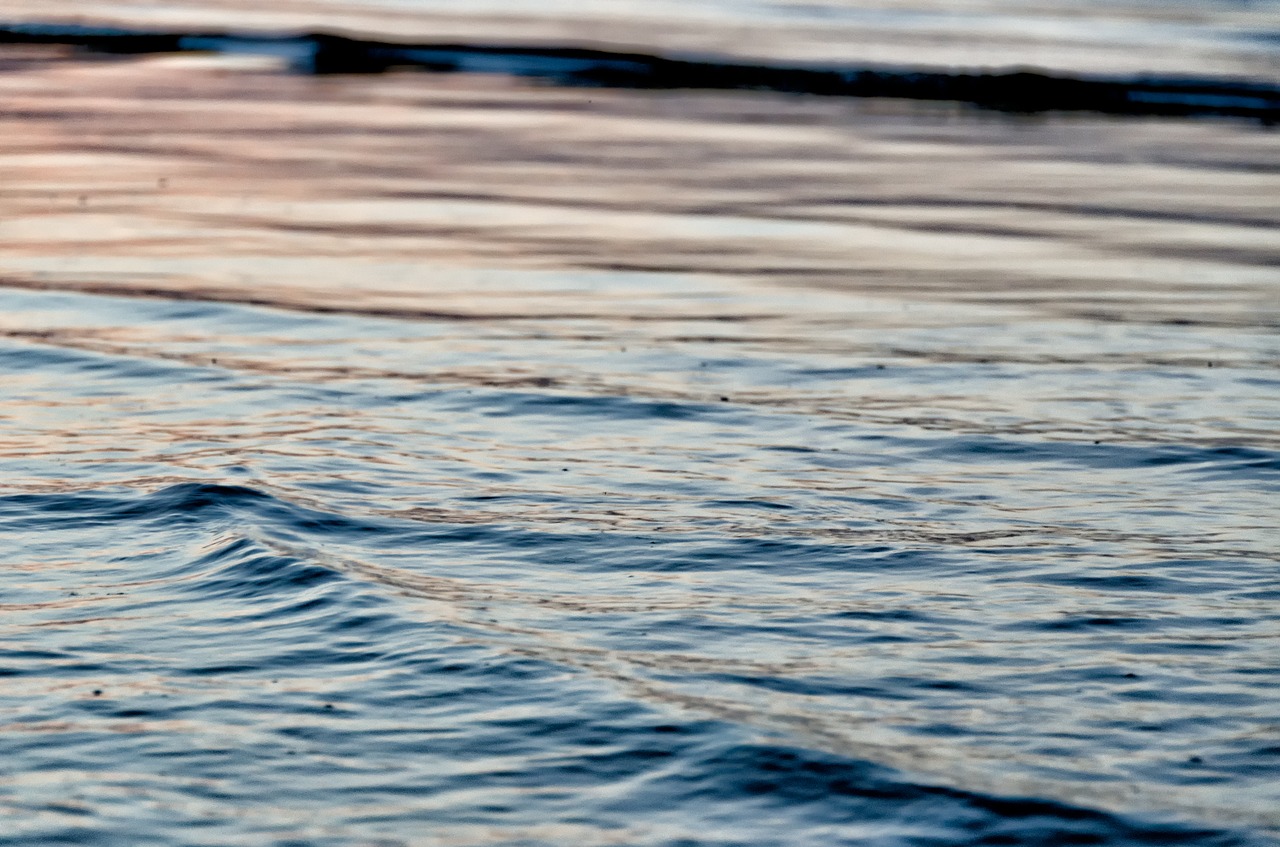 wave  sea  beach free photo