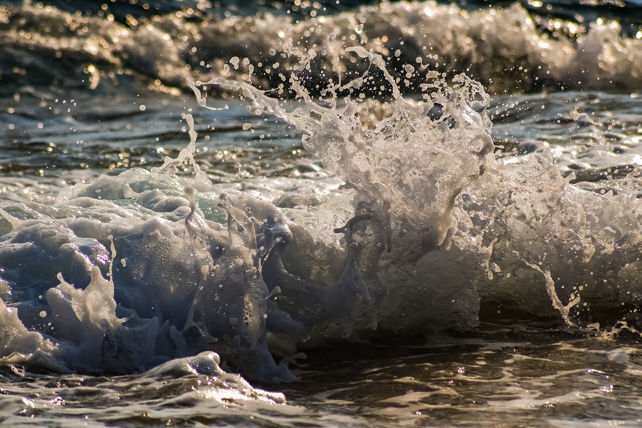 wave  splash  wind free photo