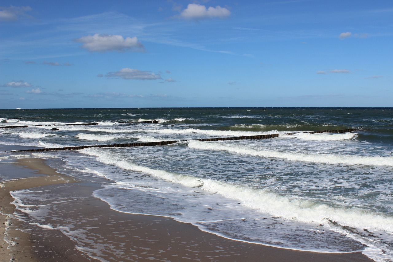 wave  baltic sea  forward free photo