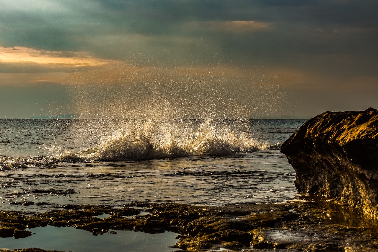 wave  crashing  water free photo