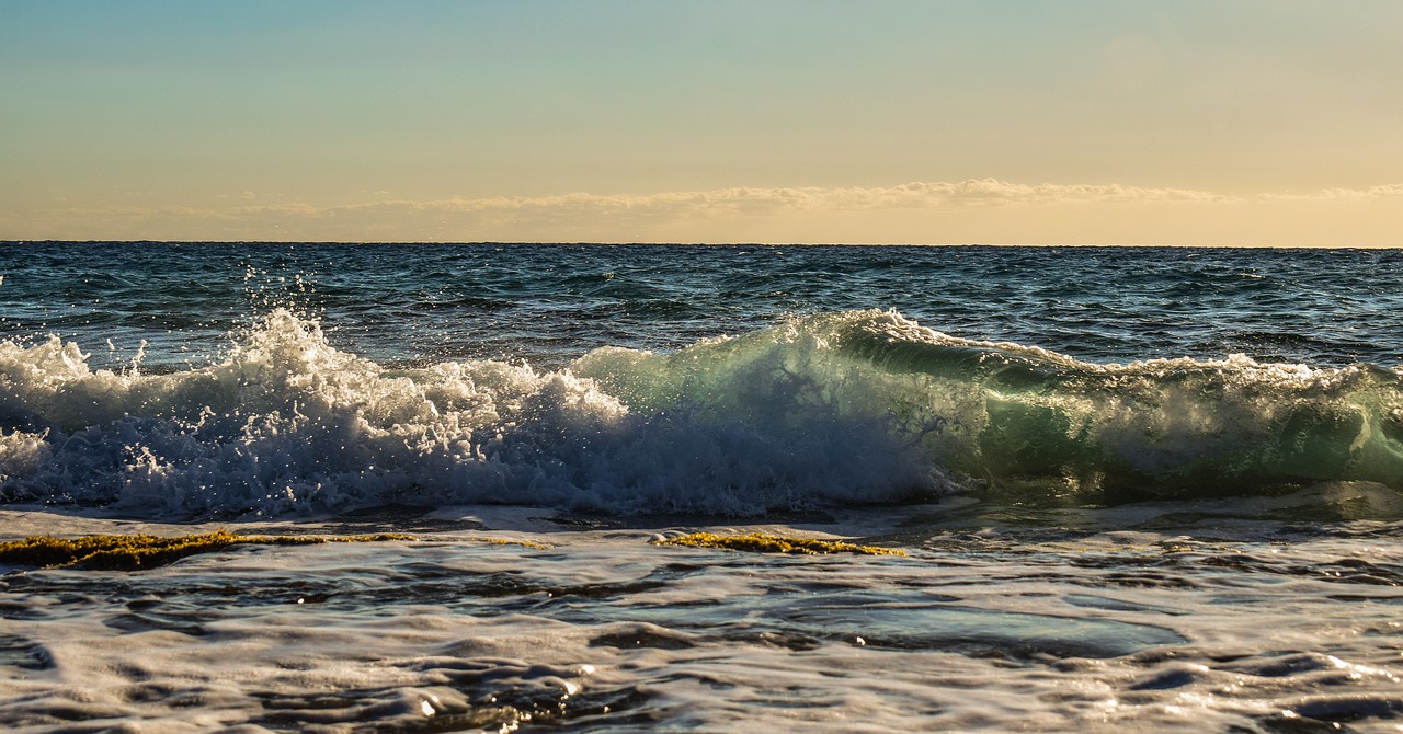 wave  sunset  sea free photo