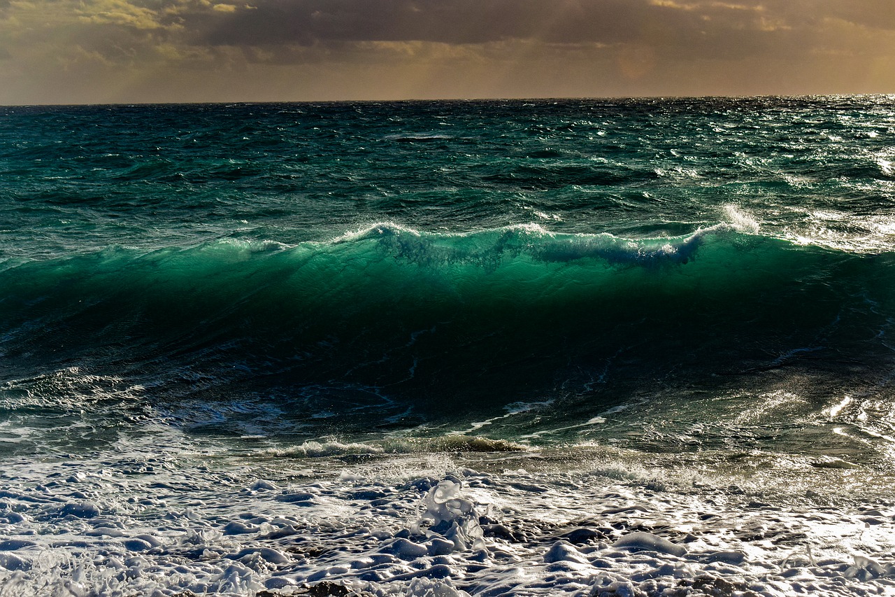 wave  spectacular  smashing free photo