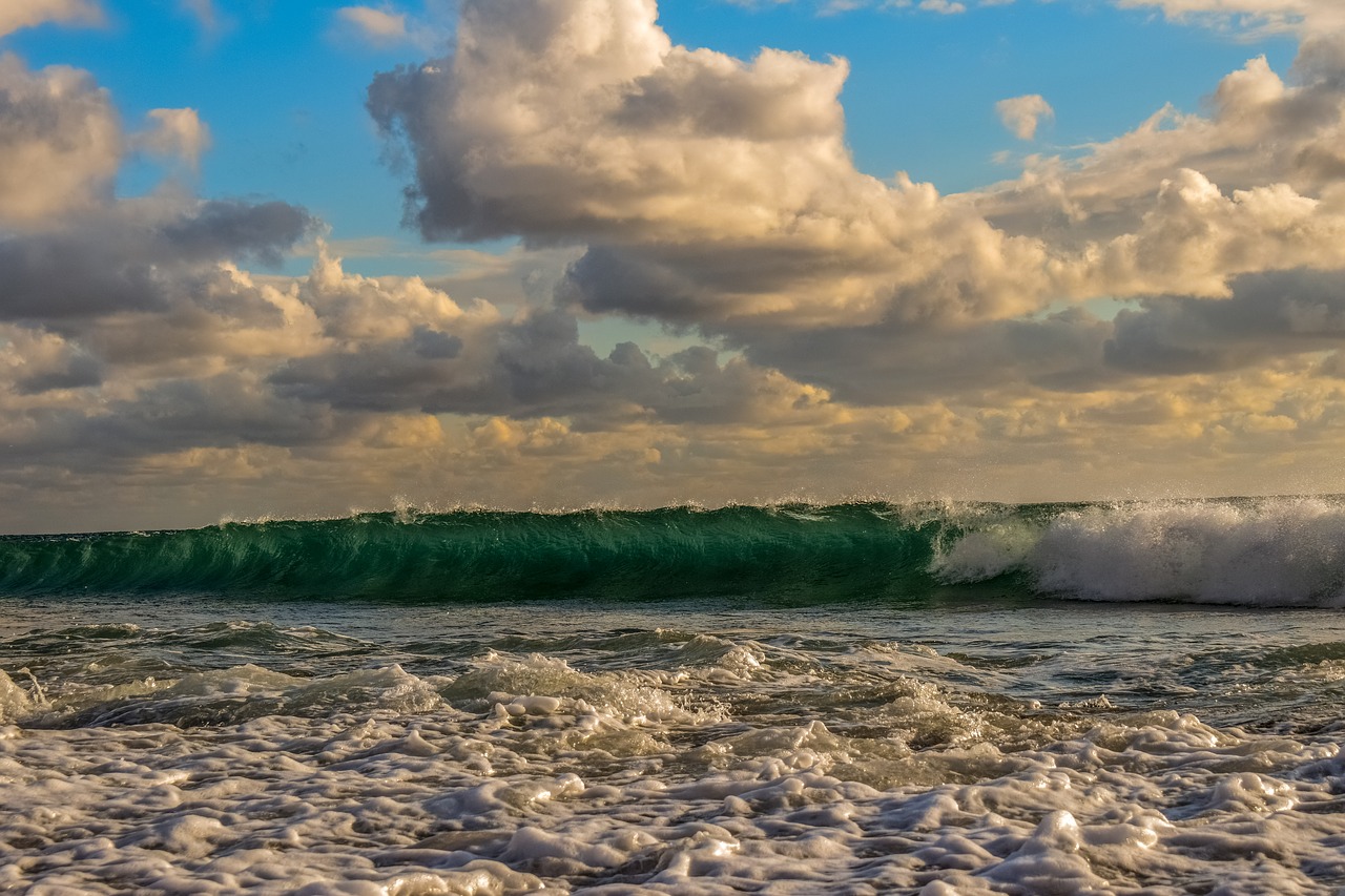 wave  crashing  beach free photo